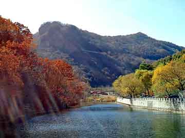 管家婆黑白马报图库，南京蛋糕培训学校